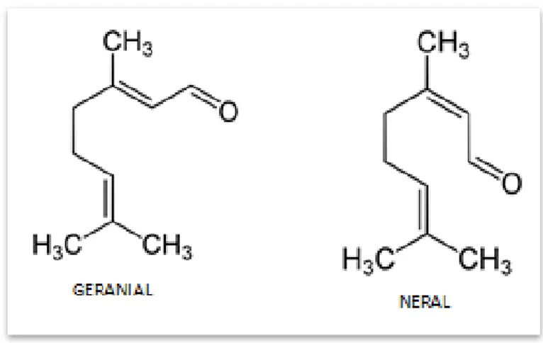 Figura 3 - Estrutura química dos isômeros Geranial (Citral a) e Neral (Citral b).