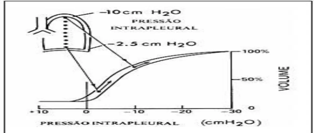 Figura  2-  Curva  de  complacência  pulmonar  (pressão  x  volume)  e  sua  relação com as regiões pulmonares