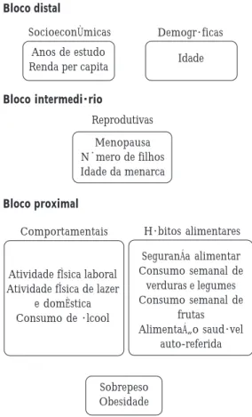 Figura 1. Modelo hierárquico conceitual.Bloco intermediário
