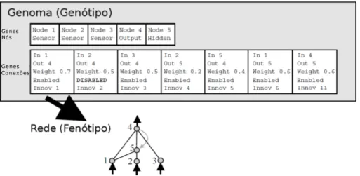 Figura 4.5: Um exemplo de mapeamento do genótipo para fenótipo (NEAT). Existem três nós de entrada, um escondido, um nó de saída e sete definições de conexões, uma das quais recorrente.