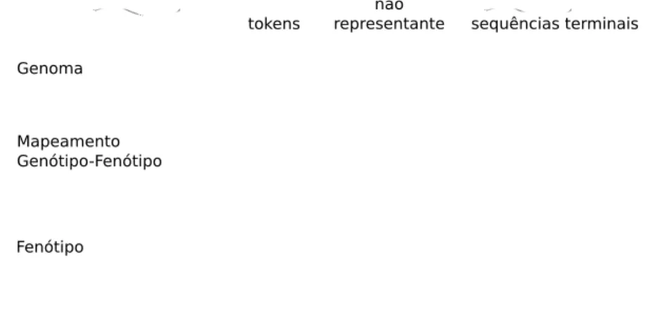 Figura 4.7: Processo de mapeamento genótipo-fenótipo na AGE (SOLTOGGIO et al., 2007).