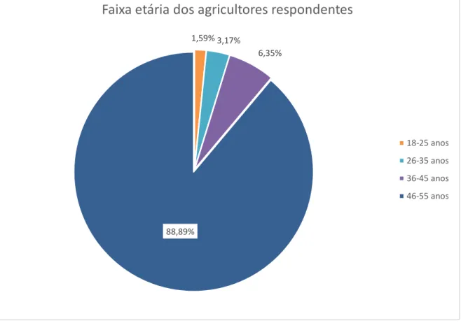 Gráfico 5 - Faixa etária dos respondentes, 2013. 