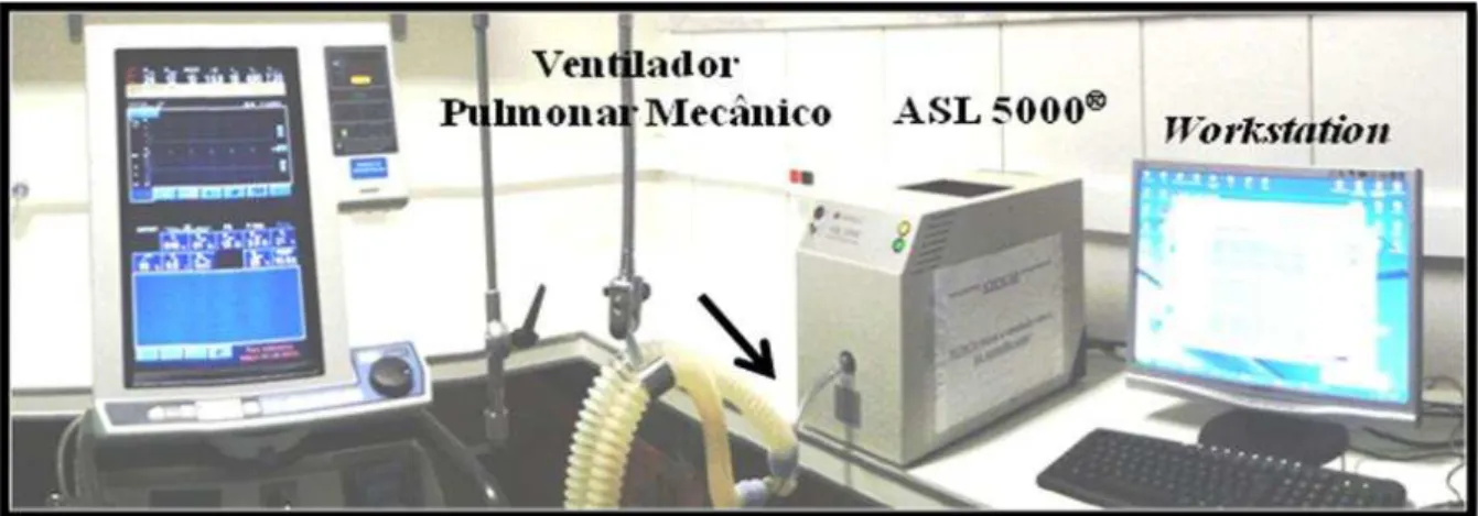 Figura 4:  Montagem  do experimento.  ASL 5000 ®   conectado ao ventilador mecânico através  de um tubo orotraqueal nº 8,0 mm (seta preta)