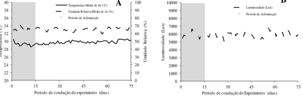 Figura 2 – Valores médios  diários referentes à temperatura e umidade relativa do ar (A) e  luminosidade (B), durante a condução do experimento.