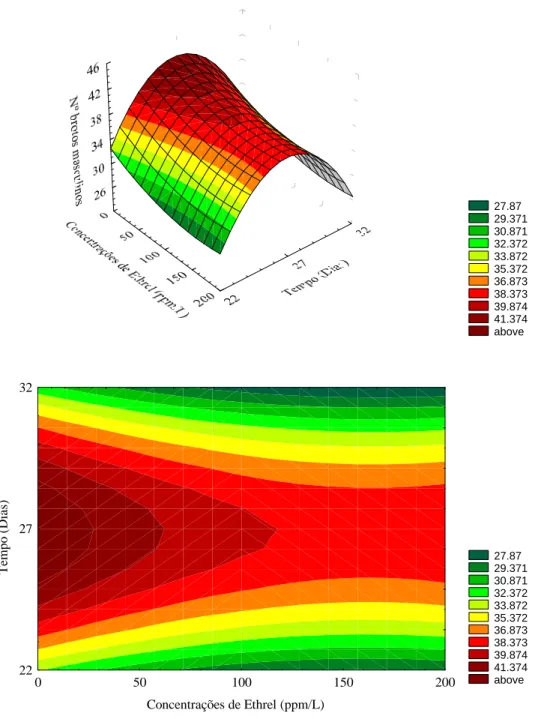 Figura  04-  Superfície  de  resposta  para  o  número  de  brotações  masculinas  do  melão  Orange Flesh em função de diferentes concentrações de Ethrel e a época de  contagem