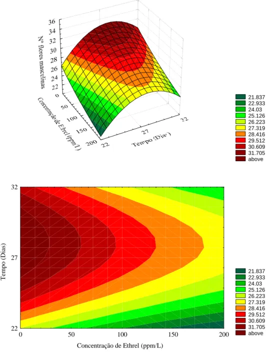 Figura 06 -  Superfície de resposta para o número de flores masculinas do melão Orange  Flesh  em  função  de  diferentes  concentrações  de  Ethrel  e  a  época  de  contagem