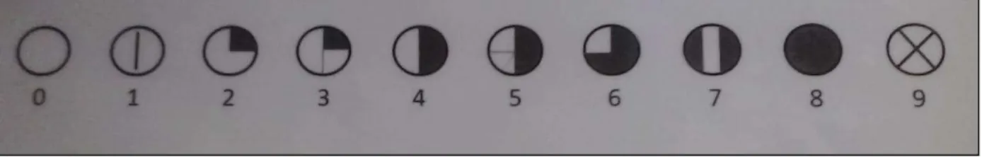 figura a seguir. O numeral 9 significa que o céu está oculto da visão do observador,  não sendo possível determinar a fração coberta