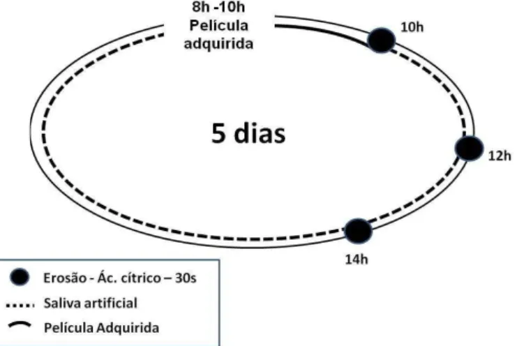 Figura 1  –  Diagrama ilustrando o ciclo erosivo utilizado  