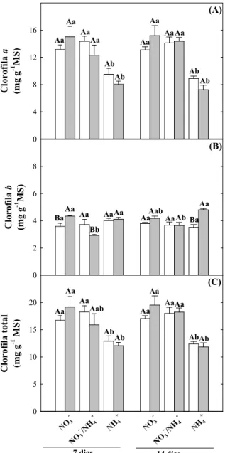 Figura 4. Teores de clorofila a (A), b (B) e total (C) de plantas de girassol (Helianthus annuus L.) nutridas com  diferentes fontes de N e submetidas a condições controle (colunas brancas) ou de estresse salino (colunas cinza)  por  7  ou  14  dias