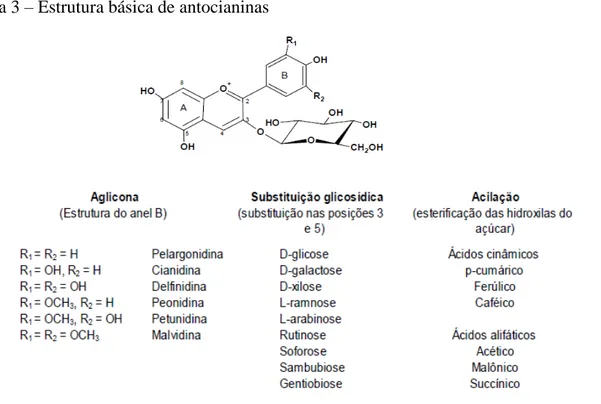 Figura 3  –  Estrutura básica de antocianinas 