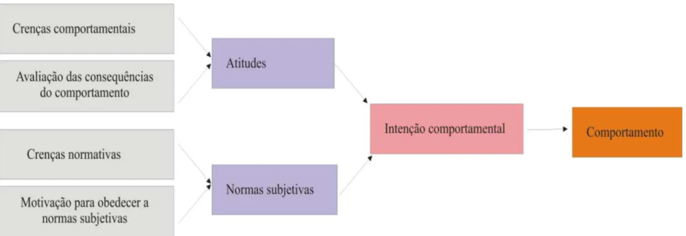 Figura 7  –  Modelo da teoria da ação racional. 