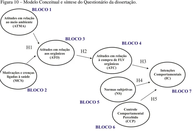 Figura 10  –  Modelo Conceitual e síntese do Questionário da dissertação. 