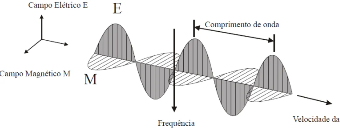 Figura  1  -  Direção  de  propagação  da  radiação  eletromagnética  na  forma  de  uma  onda,  em  função das oscilações ortogonais dos campos magnético (M) e elétrico (E) 