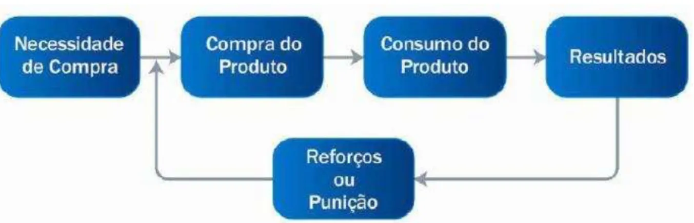 Figura 6 – Experiência de consumo. 