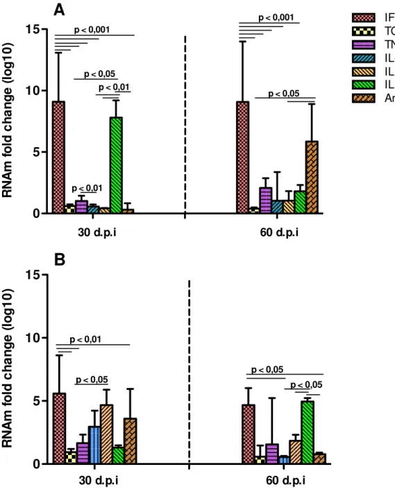 Gráfico  3 -  Expressão  de  mediadores inflamatórios em linfonodos retromaxilar (A) e poplíteo B)  de  hamsters infectados por L