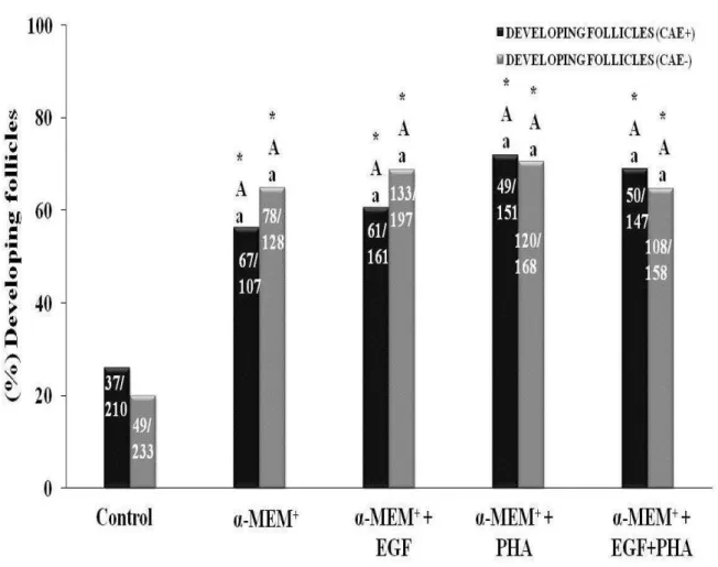 Figure  4.  Percentage  (mean  ±  SEM)  of  developing  follicles  in  non-cultured  tissues  and  in  tissues  cultured  for  6  days  in  α-MEM+  alone  or  with  EGF,  PHA  or  both,  in  infected  and  healthy  animals