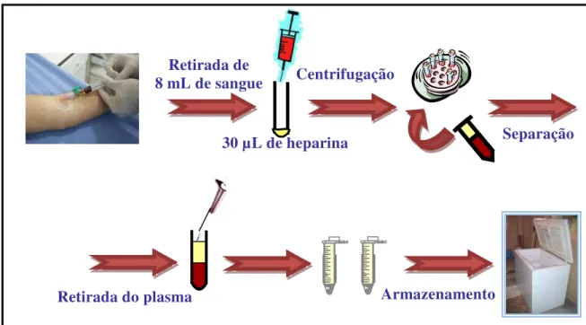 Tabela 2 - Cronograma de coleta de amostras dos fármacos estudados. 