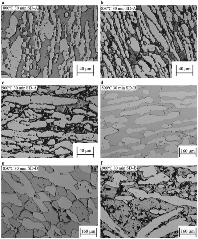 Fig. 4 – Light optical microscope images from samples aged for 30 min: (a) SD-A—800 °C; (b) SD-A—850 °C; (c) SD-A—900 °C;