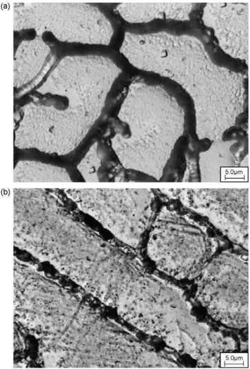 Fig. 4 – EDS spectra of the as cast sample: (a) delta ferrite;