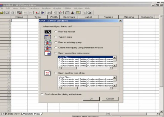 Figura 3: Tela inicial do programa  (SPSS). 
