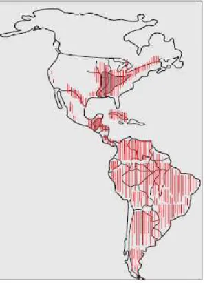 Figura  1:  Distribuição  Geográfica  da  histoplasmose  nas  Américas  (FERREIRA; 