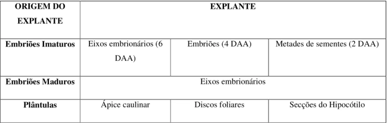 TABELA 4 - Explantes utilizados nos experimentos de indução de calos embriogênicos.