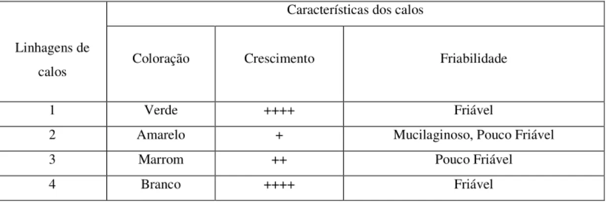 TABELA 5 - Características das Linhagens de calos de feijão-de-corda. 