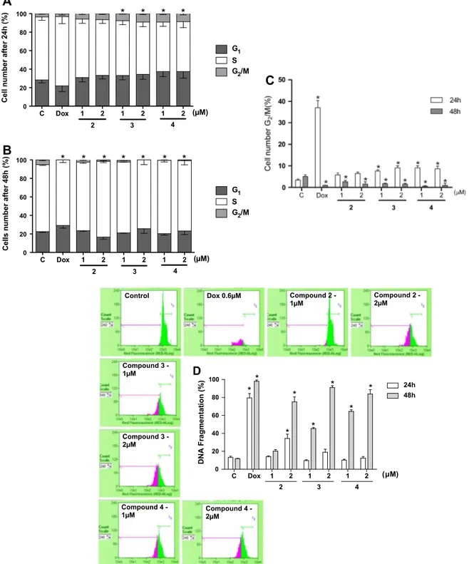 Fig. 3. Effects of the a -santonin derivatives 2, 3 and 4 (1 and 2 l M) on HL-60 cell cycle evaluated by flow cytometry using propidium iodide, Triton X-100 and citrate