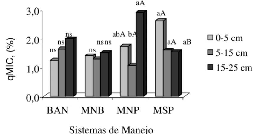 Figura  3.  Relação  CBM/COT  *  100  (qMIC)  em  amostras  de  solo,  sob  diferentes  sistemas  de  manejo,  na  Chapada  do  Apodi  -  CE