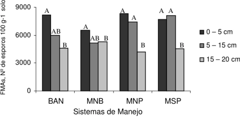 Figura 6. Número de esporos de fungos micorrízicos arbusculares em amostras de solo,  sob diferentes sistemas de manejo na Chapada do Apodi - CE