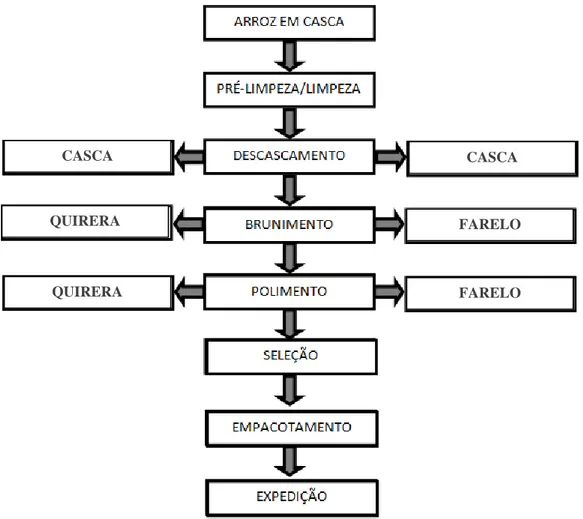 Figura 3. Fluxograma das principais etapas do beneficiamento do arroz. 