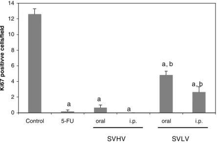 Fig. 1. E V ect of 5-FU, SVHV and SVLV (100 mg/m 2 /day) on Sarcoma 180 cell proliferation using Ki67 antibody