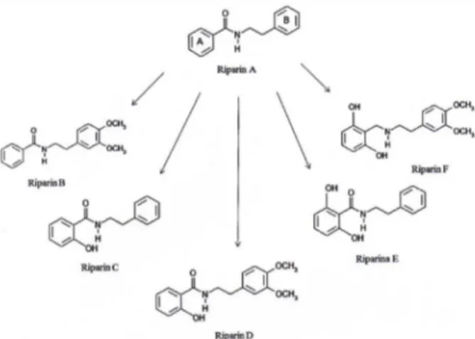 Figure 1. Molecular structure of the synthetic riparinas (B, C, D, E and F) based  on the fundamental structure of the natural riparin A.