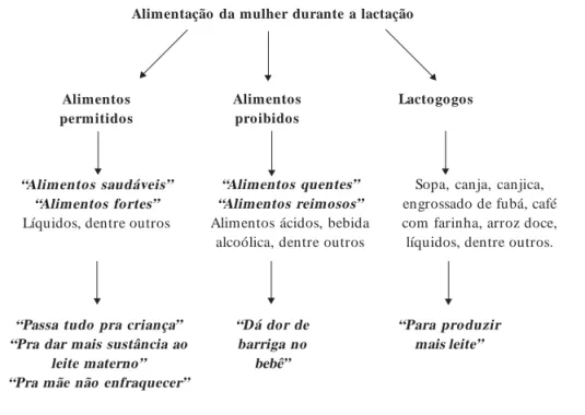 Figura 1.  Representações sociais das mães de crianças menores de dois anos do município de Coimbra, MG