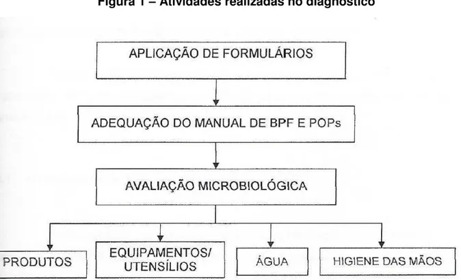 Figura 1  –  Atividades realizadas no diagnóstico 