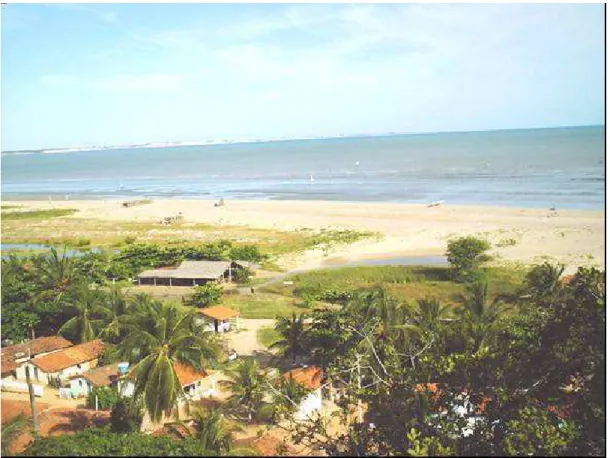 Figura 4 - Vista geral da praia de Ponta Grossa, município de Icapuí-CE. 