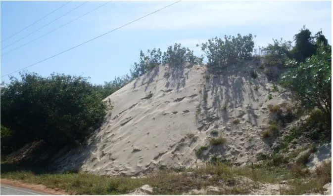 Figura 8 - Campo de dunas semifixas com vegetação arbustiva no Cumbe. 