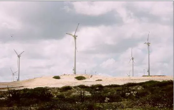 FOTO 3.1 - Parque eólico da Prainha produz 35 milhões de kWh/ano de energia elétrica. 