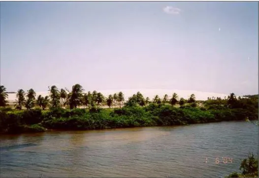 FOTO 3.3 -  Riacho Catu,  na  localidade de  Prainha,  observa-se além das planícies  aluviais  com  vegetação  de  mangue  e  mata  ciliar,  um  extenso  campo  de  dunas  móveis