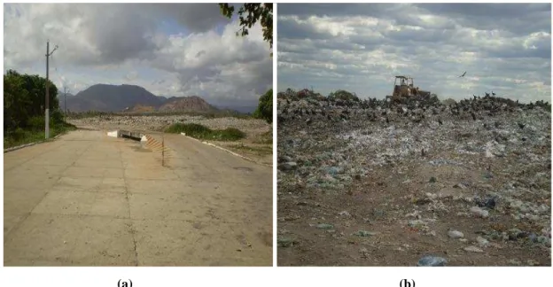 Figura 7 - Vistas do lixão de Itapipoca-CE: (a) Rampa e balança de acesso; Janeiro, 2009