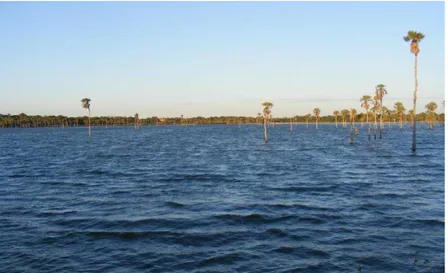 Figura 11 - Vista da Lagoa do Borzeguim. Agosto, 2009. 