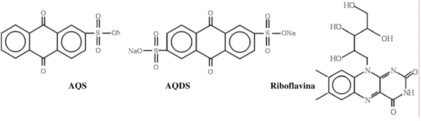 Figura 2 – Estruturas químicas dos mediadores redox AQS, AQDS e riboflavina (vitamina B2)