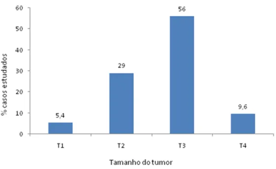 FIGURA 19: Percentual de casos de carcinoma gástrico estudados, distribuídos quanto ao tamanho do tumor  (n=93).