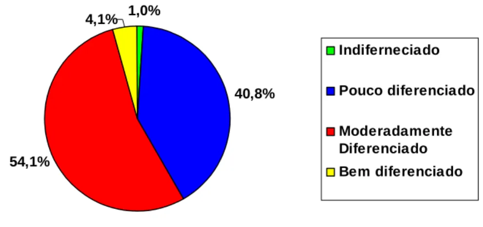 FIGURA  21:  Percentual  de  casos  de  carcinoma  gástrico  estudados,  distribuídos  quanto  ao  grau  de  diferenciação dos tumores (n=101).