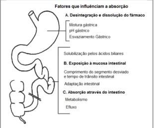 Figura 1  –  Principais modificações ocasionadas pela cirurgia bariátrica Bypass gástrico em Y de Roux na  absorção dos fármacos