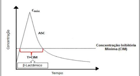 Figura  3  -  Curva  de  concentração  versus  tempo  com  marcadores  farmacocinéticos  e  farmacodinâmicos
