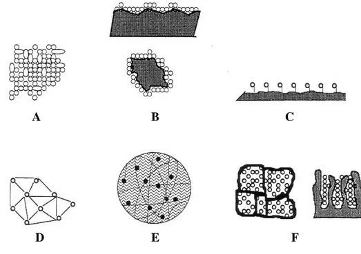 Figura 4:   Métodos de imobilização de células microbianas. A. Floculação; B. Adsorção a  superfícies;  C