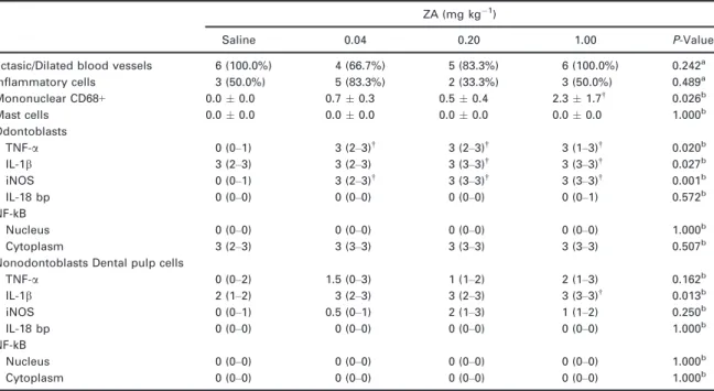 Table 1 Histological, histochemical and immunohistochemical profile of molar dental pulp in rats treated with ZA or saline