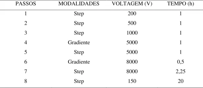 Tabela 1 : Parâmetros de voltagens utilizados para a corrida da 1º dimensão. 