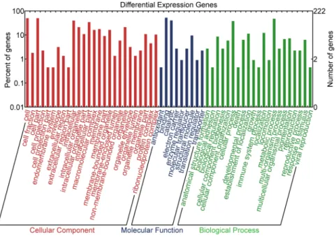 Figure 10.  GO Annotation analysis of diferentially expressed mRNAs in healthy and diseased (undergoing  bleaching) P